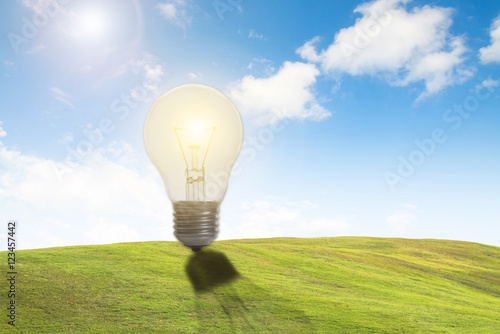 eco friendly illuminated light bulb concept for idea innovation and inspiration for nature