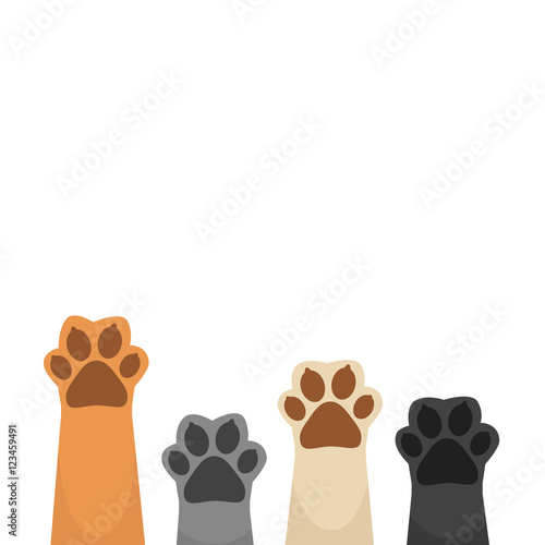 Paws up pet background