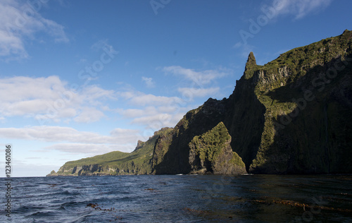 Ile Gough  Archipel Tristan da Cunha