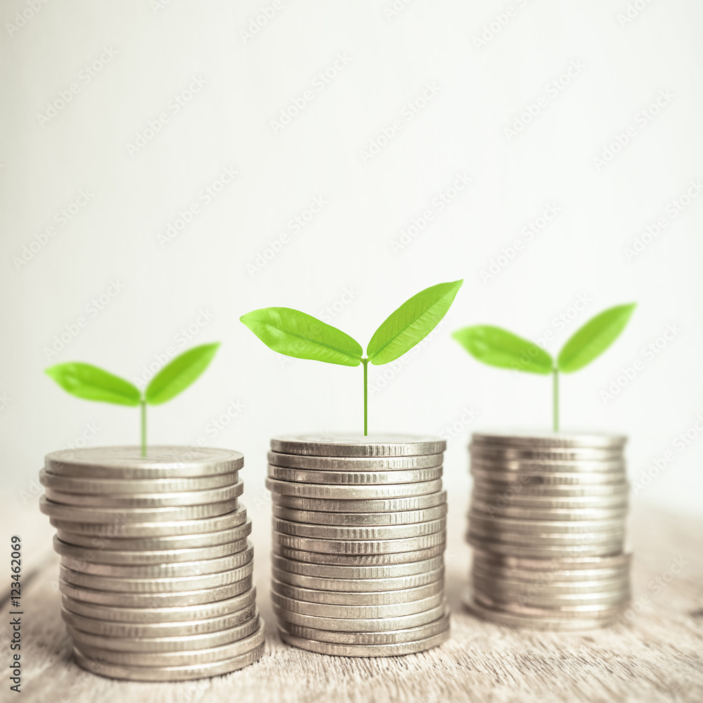 Growing plant on rows of coin money for finance and banking concept
Growing plant on rows of coin money for finance and banking concept