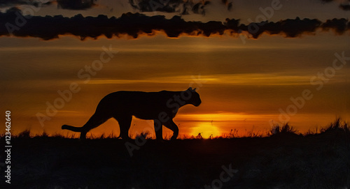 Cougar hunting at dawn,photo art