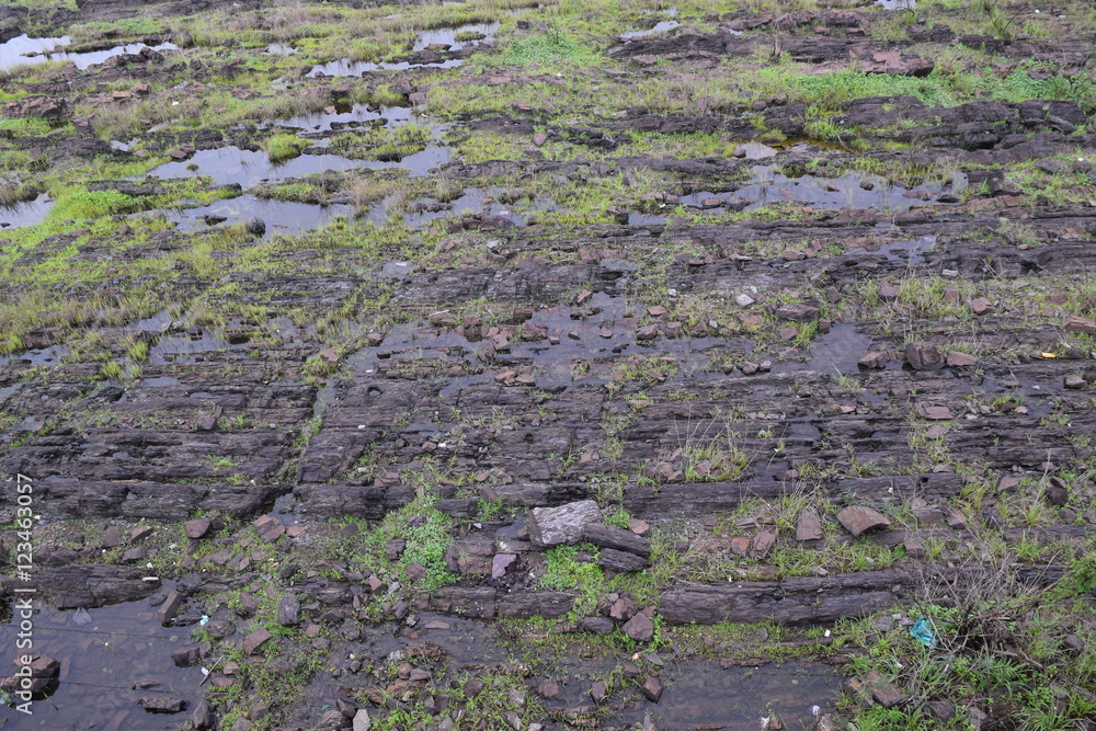 dry bottom bed river dry bottom bed river