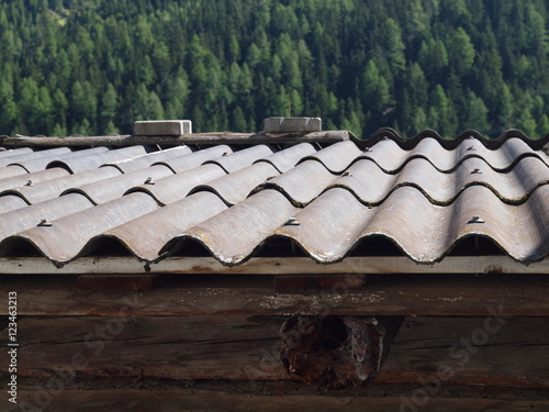 Dach aus Wellasbestplatten