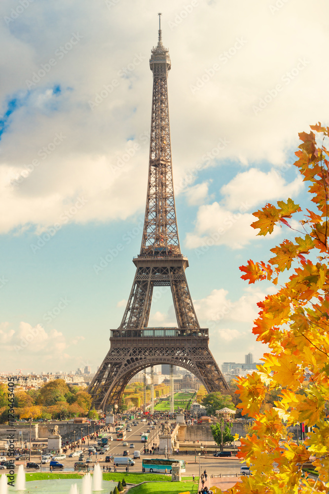 Fototapeta premium view of Eiffel Tower and Paris cityscape in fall day, France