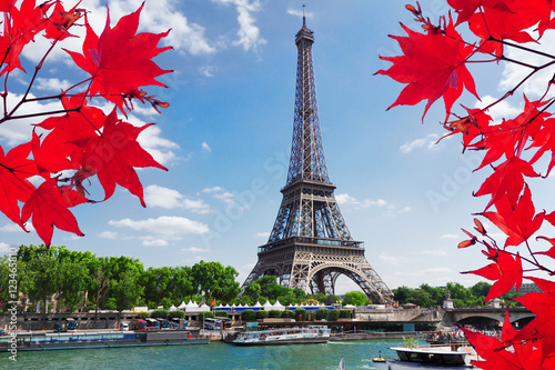 Paris riverbank with view of Eiffel Tower in fall day with red maple leaves, Paris France © neirfy