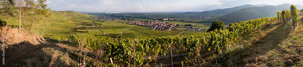 Kientzheim, Ammerschwihr, Sigolsheim et Colmar à l'entrée de la vallée de Kaysersberg, Haut-Rhin, Alsace, France