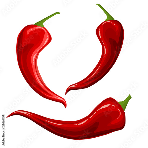 The pepper chili seasoning . Vector illustration.