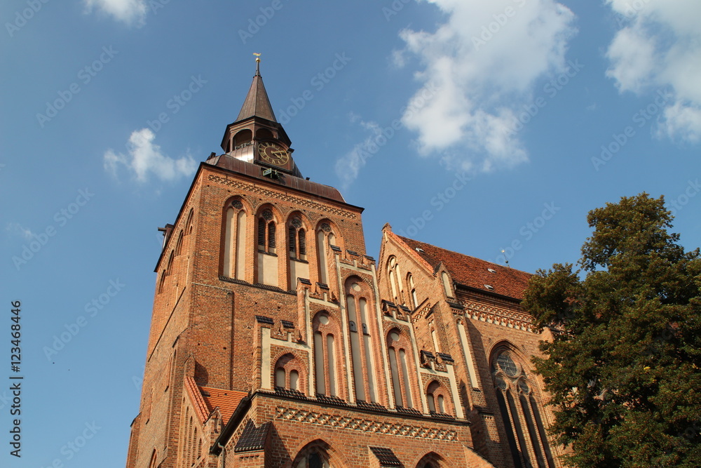 Obraz premium Die Pfarrkirche St.Marien