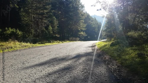 Morning. Empty forest road, route in the countryside without car photo