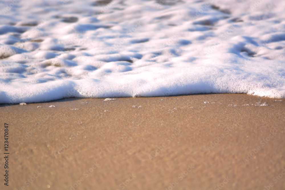 Foamy Wave Washing up the Beach