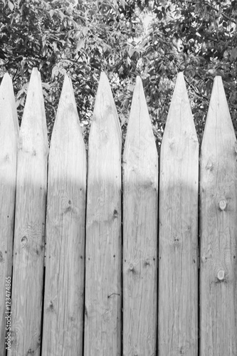 fence of logs and leaves black and white