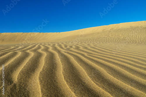 Wind has created the Pattern   Spain