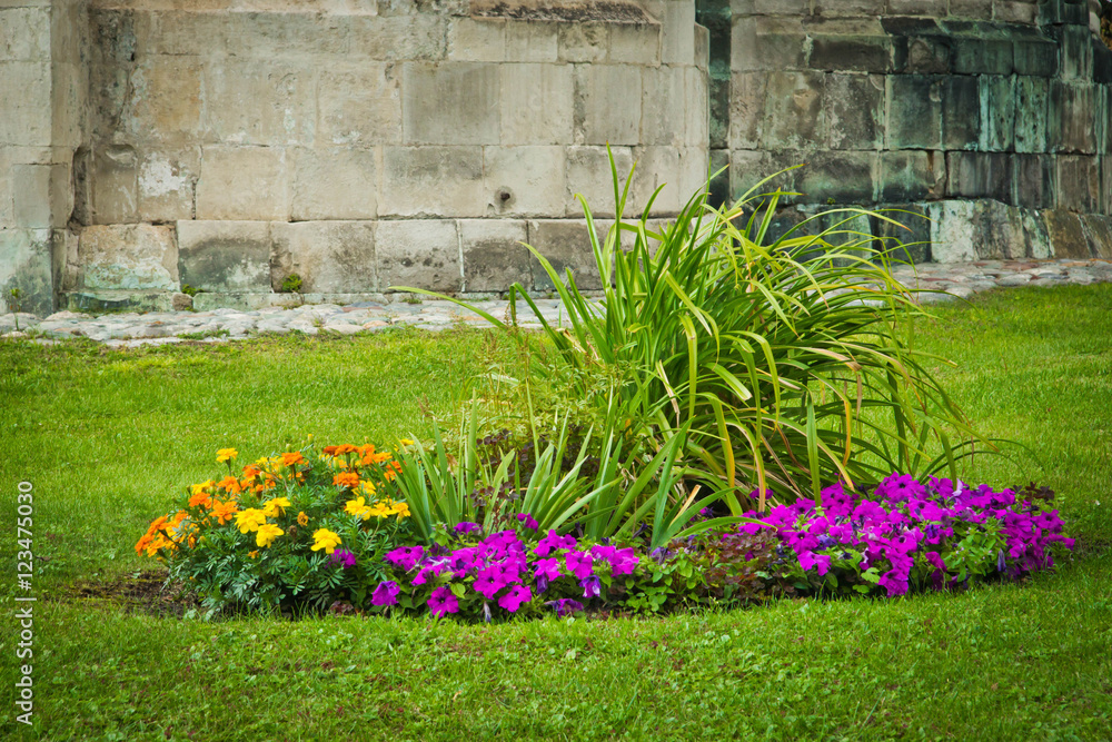 colorful flowers in park next to the wall