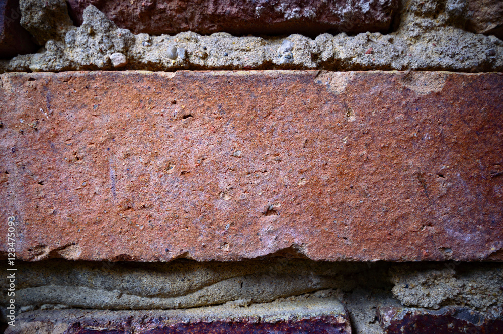 wall wall