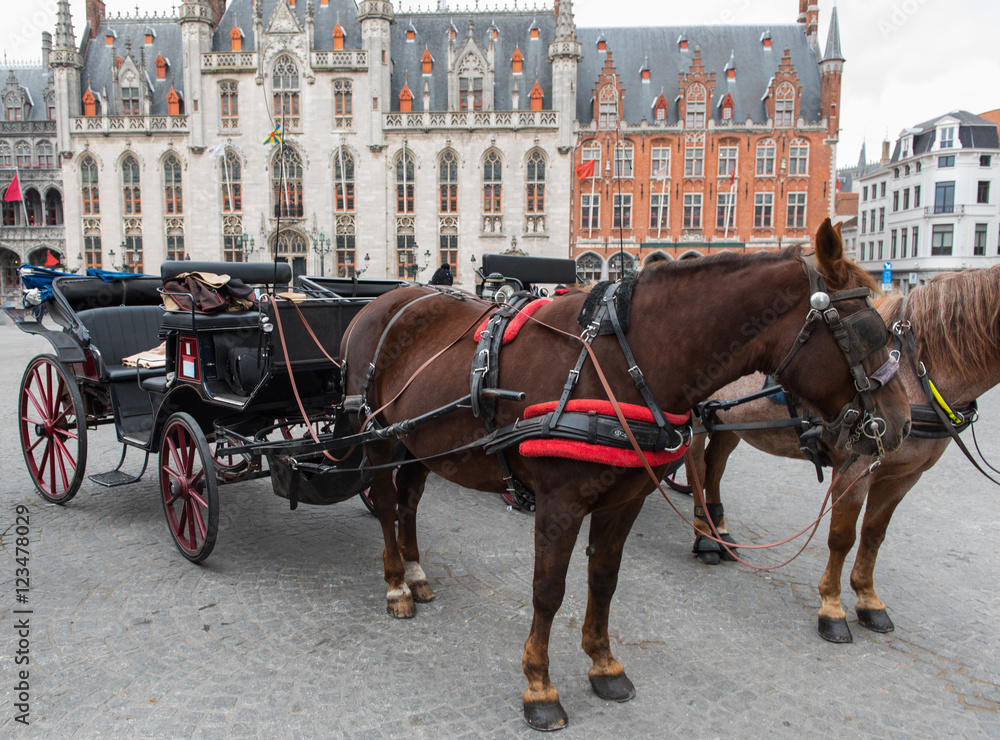 horse carriage in front of thr Brugge city hall