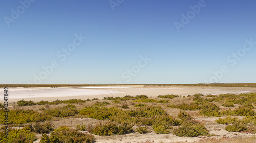 Outback near Lake Alexandrina in South Australia photo