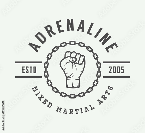 Vintage mixed martial arts logo, badge or emblems. 