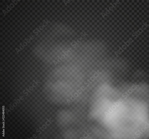 Fog or smoke isolated transparent special effect. White vector cloudiness, Vector illustration