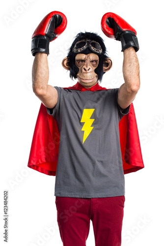 Superhero monkey man with boxing gloves