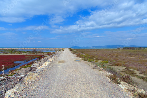 road in the countryside near the sea