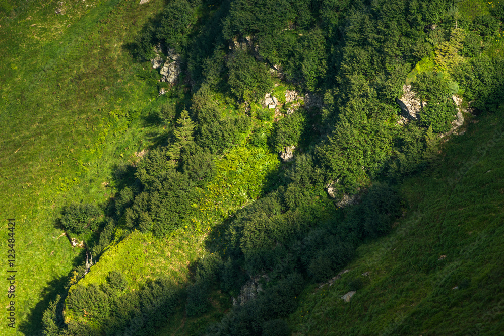 Carpathian mountain slope