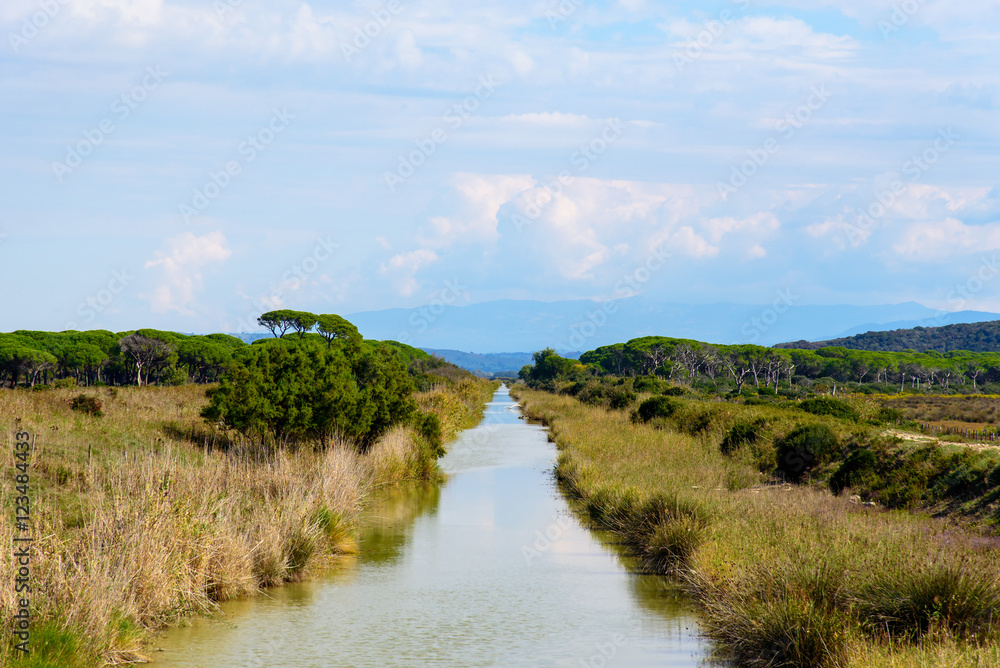 Obraz premium river in the natural park, tuscany, italy