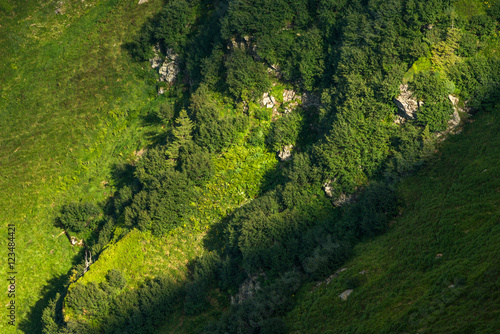 Carpathian mountain slope © YARphotographer