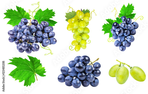 Collection of grapes isolated on white