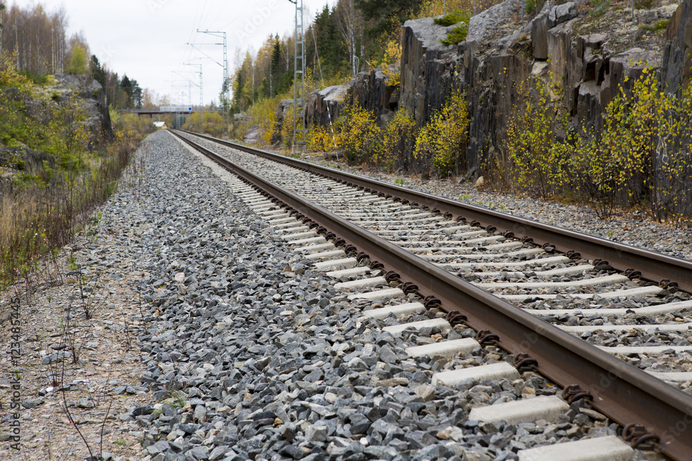 Fototapeta premium Empty railroad track on an autumn day.