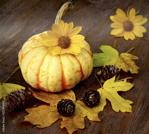Grußkarte - Herbstdekoratio...