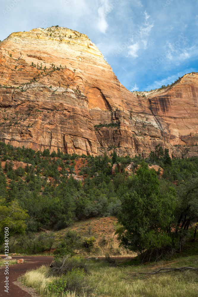 Landscape in Zion National Park, USA.