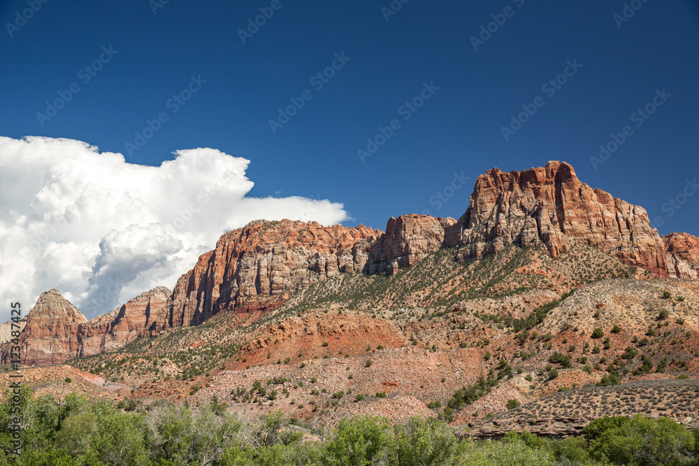 Landscape in Zion National Park, USA. Landscape in Zion National Park, USA.