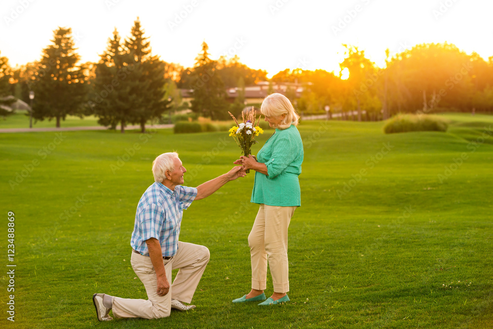 Fototapeta premium Man giving flowers to woman. Senior couple on green meadow. Heart of the gentleman. Accept this modest gift.