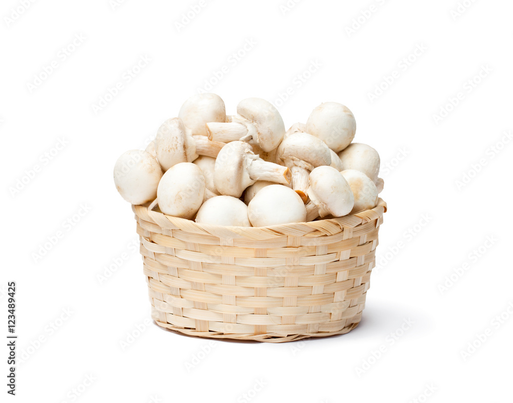 heap of fresh mushroom champignons in a basket isolated on whit heap of fresh mushroom champignons in a basket isolated on whit