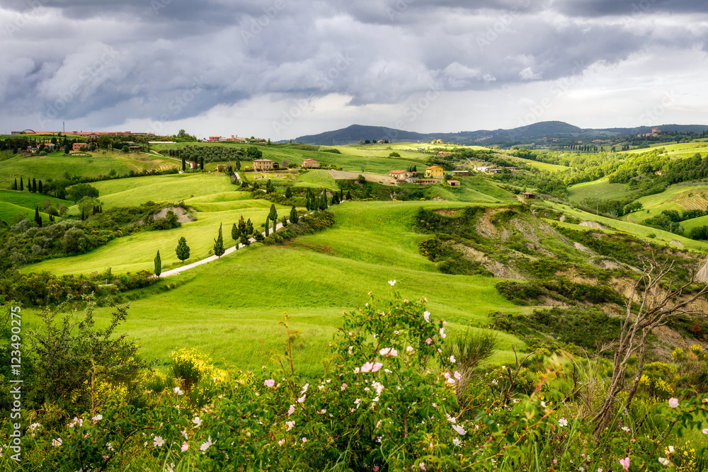 Fototapeta premium Scenery of Val d'Orcia in Tuscany