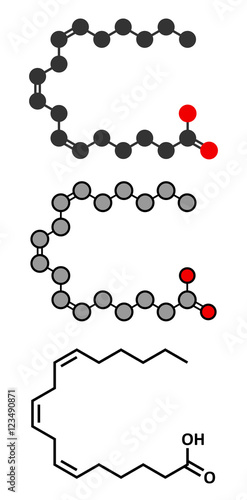 Gamma-linolenic acid (GLA, gamolenic acid) molecule. Stylized 2D renderings. Omega-6 fatty acid present in many vegetable oils, including evening primrose, chia, hemp and borage seed oils. photo