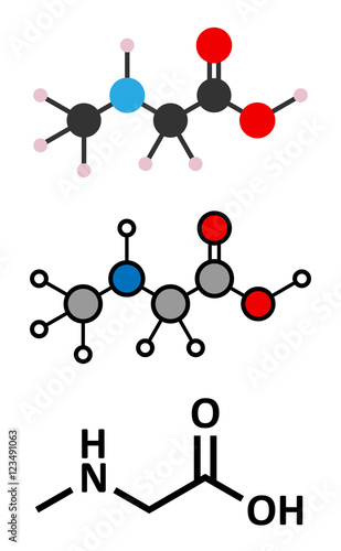 Sarcosine (N-methylglycine) molecule. Stylized 2D renderings and conventional skeletal formula.