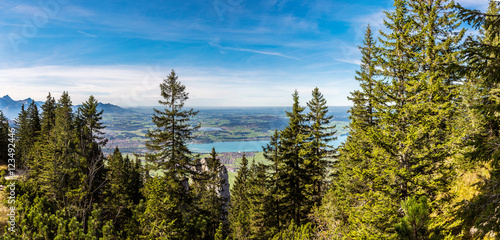 Alps and forest in a summer day in Germany