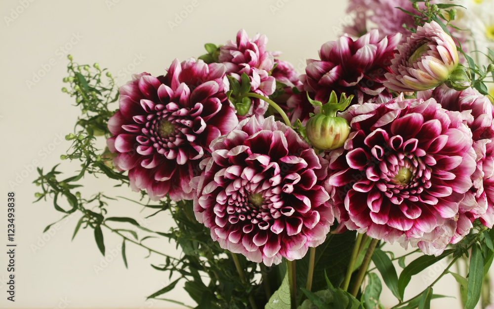 Fototapeta premium Autumn chrysanthemum bouquet