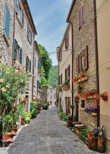 Fototapeta Naklejka Na Ścianę i Meble -  Narrow old street with flowers in Italy
