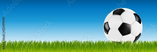 soccer retro vector leather ball black white on green grass in front of blue sky