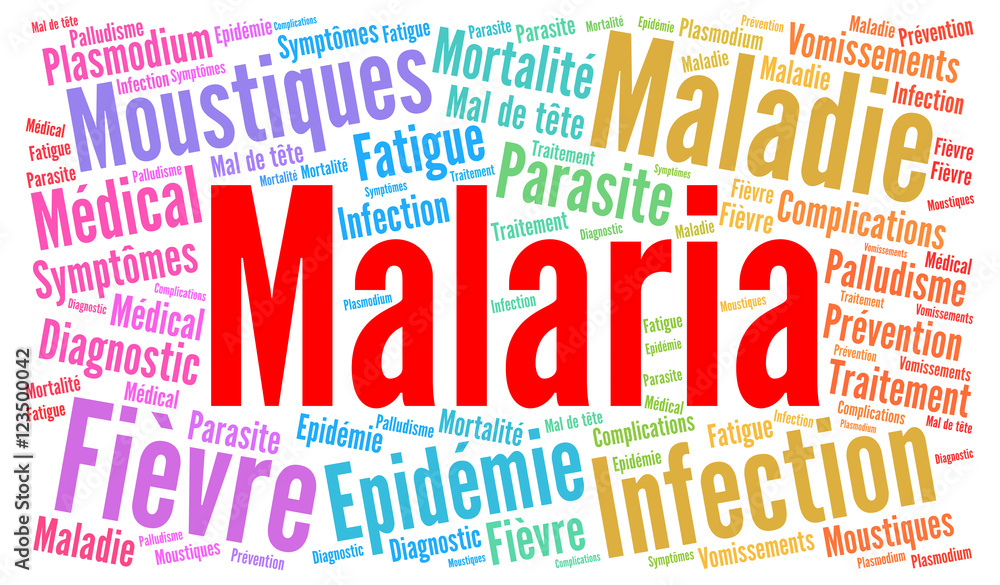 Malaria word cloud concept with french text Malaria word cloud concept with french text