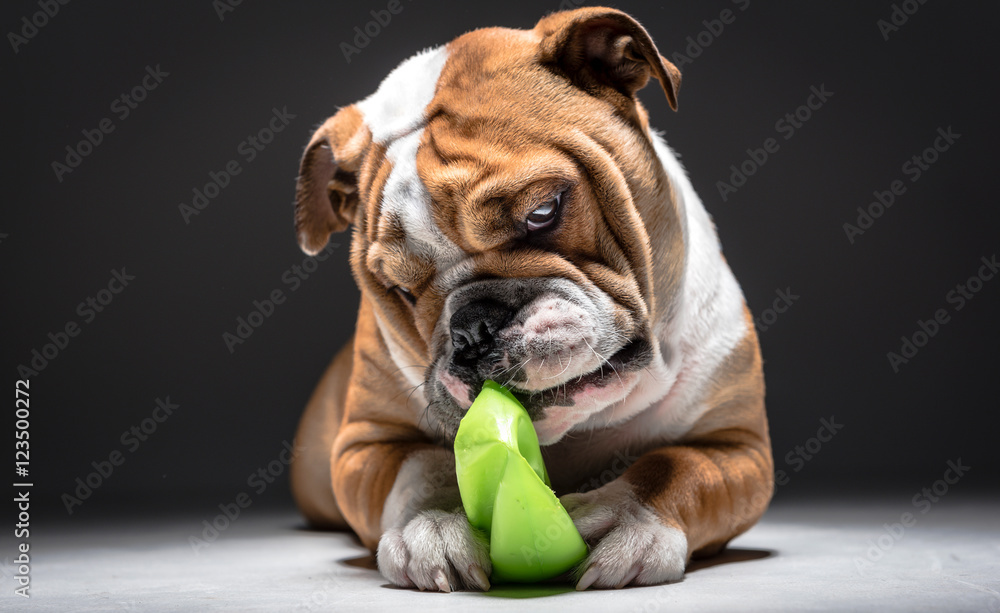 Eating the green ball
