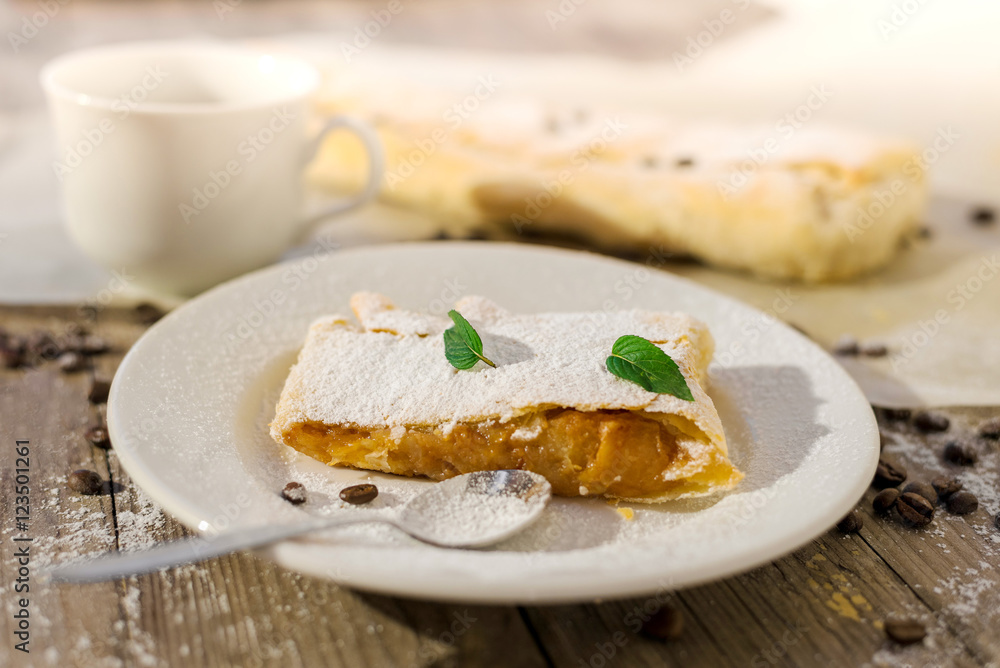 Traditional home made fresh apple strudel sprinkled with fine su Traditional home made fresh apple strudel sprinkled with fine su