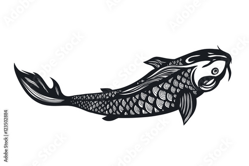 Fish Koi Carp. Chinese symbol of good luck, courage, persistence, perseverance, wisdom and vitality. Vector illustration. Hand drawn.