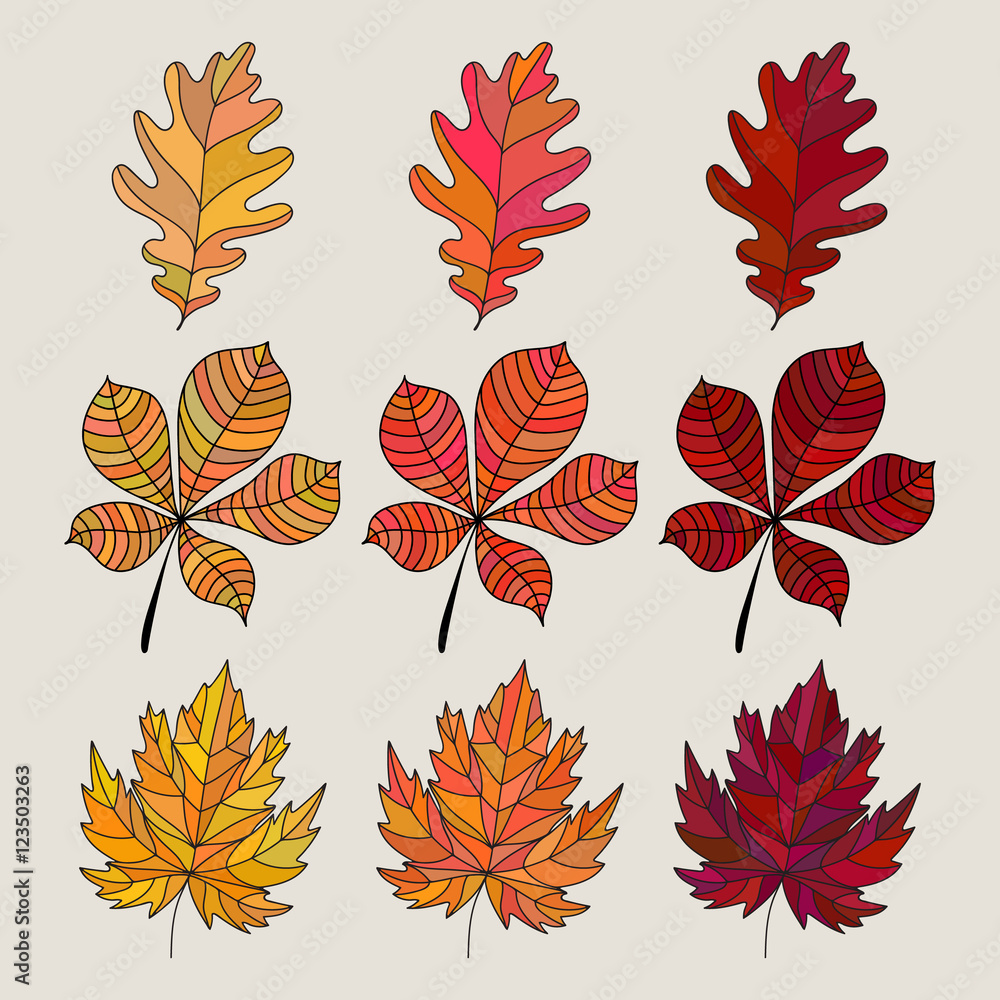 Set of colorful autumn leaves. Vector illustration. Oak, maple and chestnut tree's leaf icon. Fall leaves color gradient. 3 kind different colored leaves.