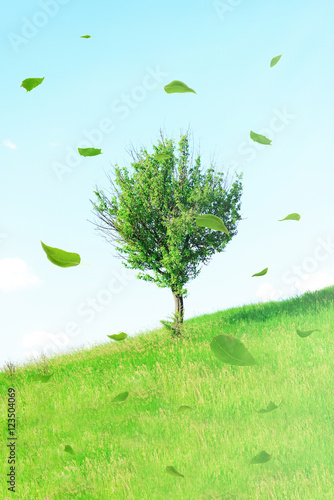 Beautiful tree and flying green leaves on meadow