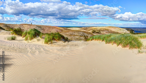 Grey dunes in the fall time. Curonian Spit  Lithuania.