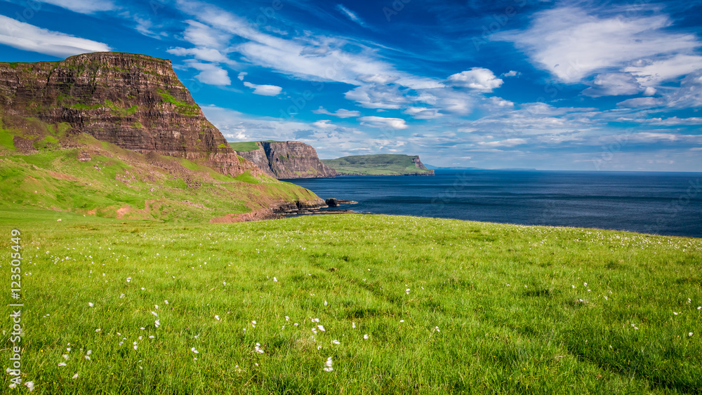 Fototapeta premium Breathtaking view to sheeps on the coast, Scotland, United Kingdom