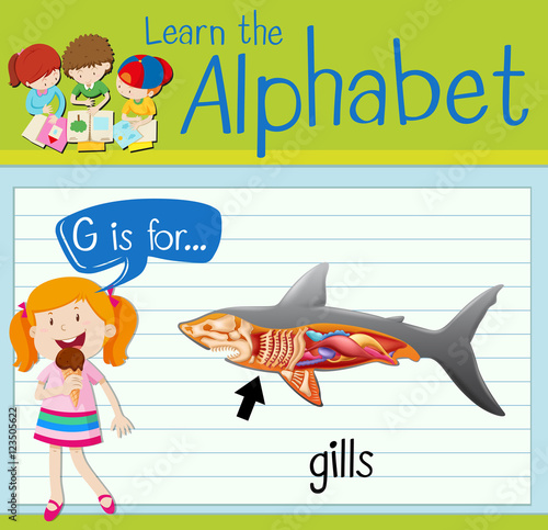 Flashcard letter G is for gills